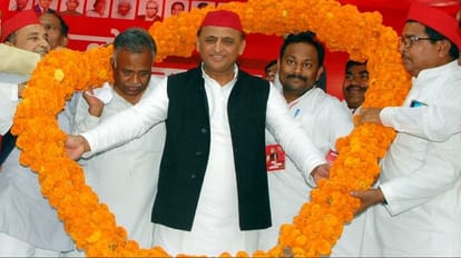 Akhilesh Yadav taunts the BJP government says Only bull darshan free in Uttar Pradesh