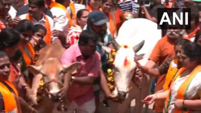 Karnataka: गोहत्या पर बयान देकर फंसे सिद्धारमैया के मंत्री, गाय लेकर सड़कों पर उतरे भाजपा कार्यकर्ता karnataka bjp protest against minister k vankatesh statement on cow slaughter five guarantees