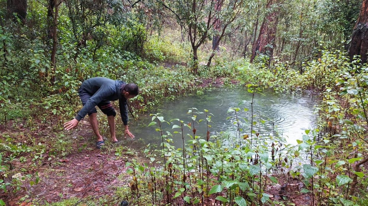 Environment inspirational story Chandan revived waterless sources developed a mixed forest Naai Haldwani