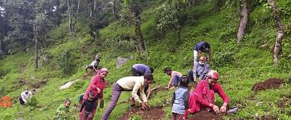 Environment inspirational story Chandan revived waterless sources developed a mixed forest Naai Haldwani
