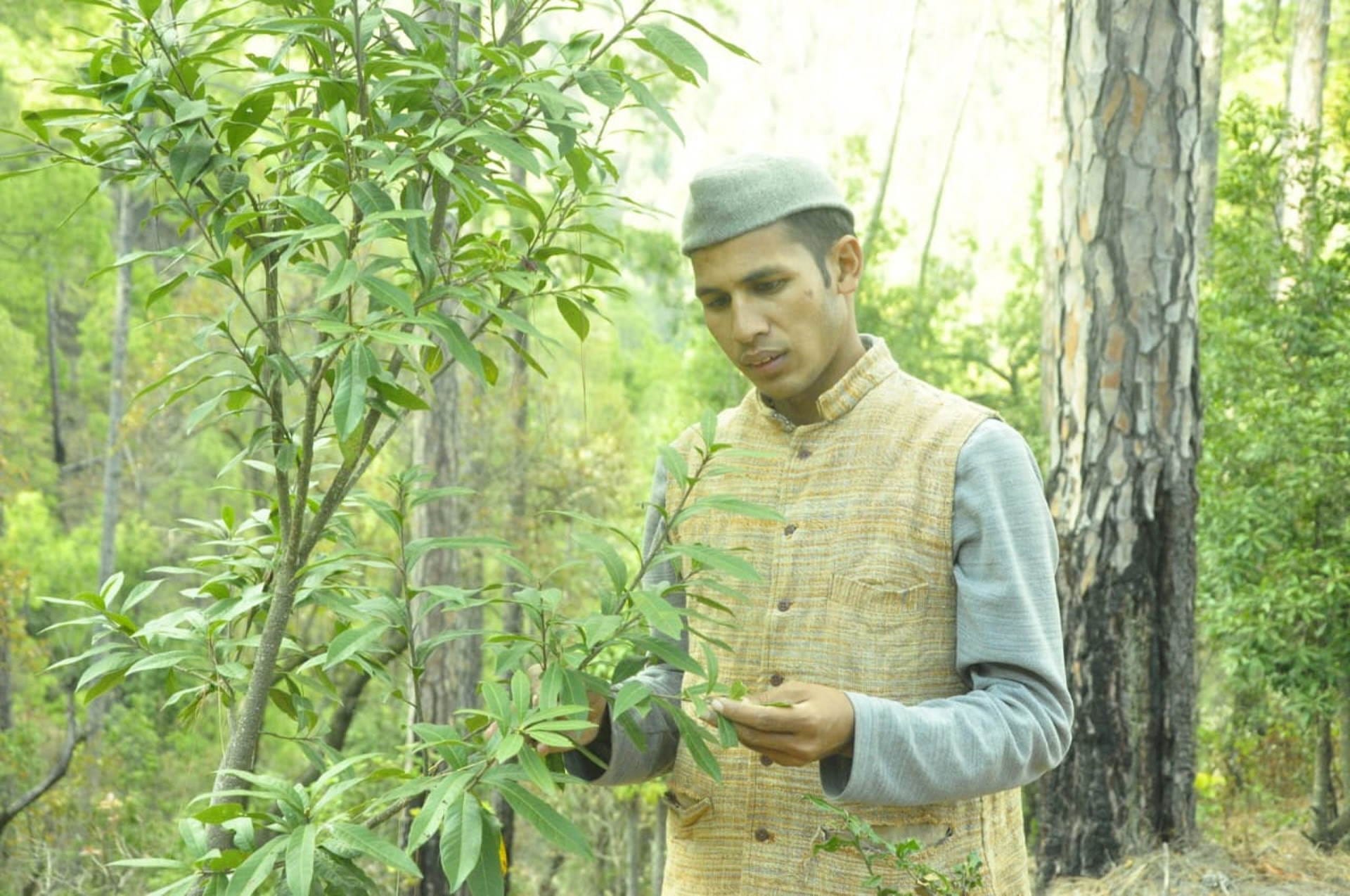 Environment inspirational story Chandan revived waterless sources developed a mixed forest Naai Haldwani