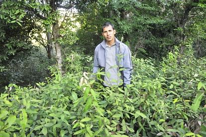 Environment inspirational story Chandan revived waterless sources developed a mixed forest Naai Haldwani