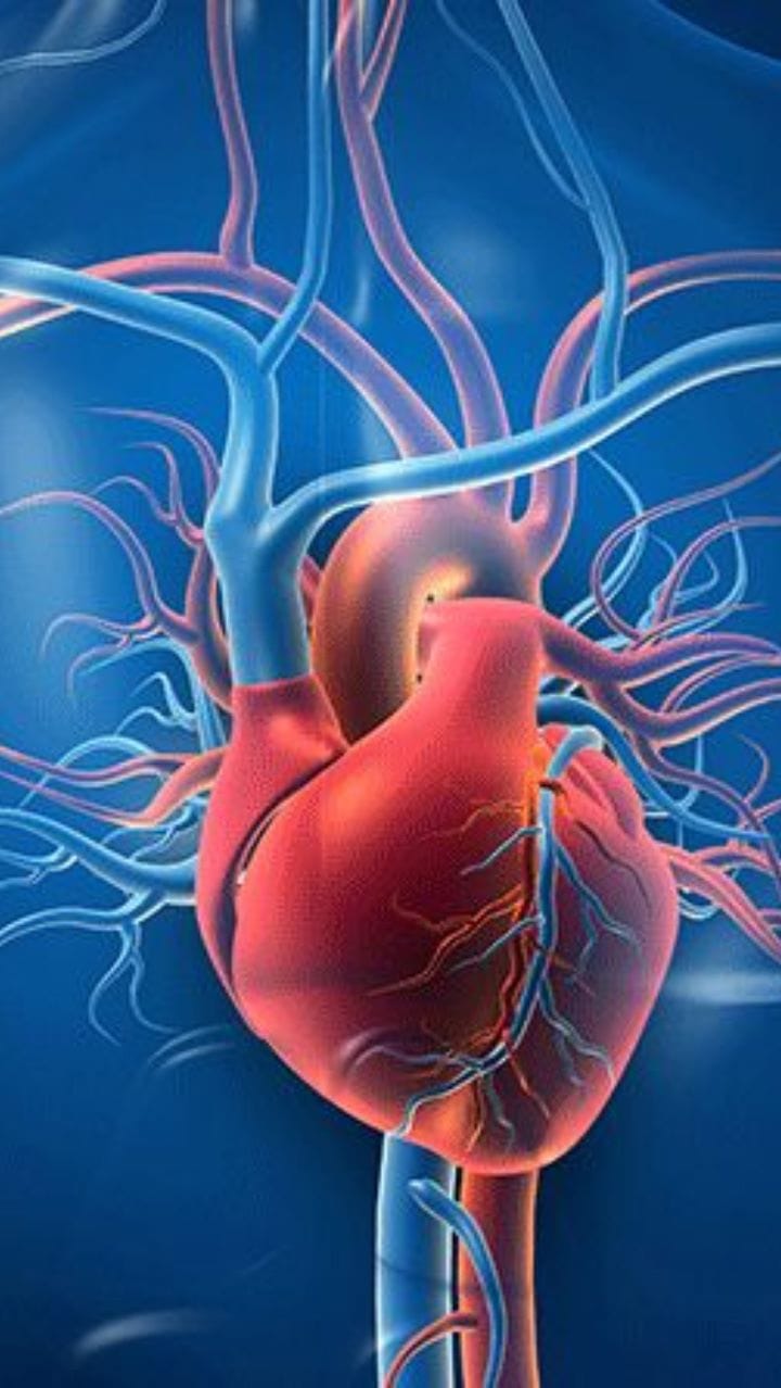 Deaths from heart and blood vessel diseases have increased by 60 percent in 32 years