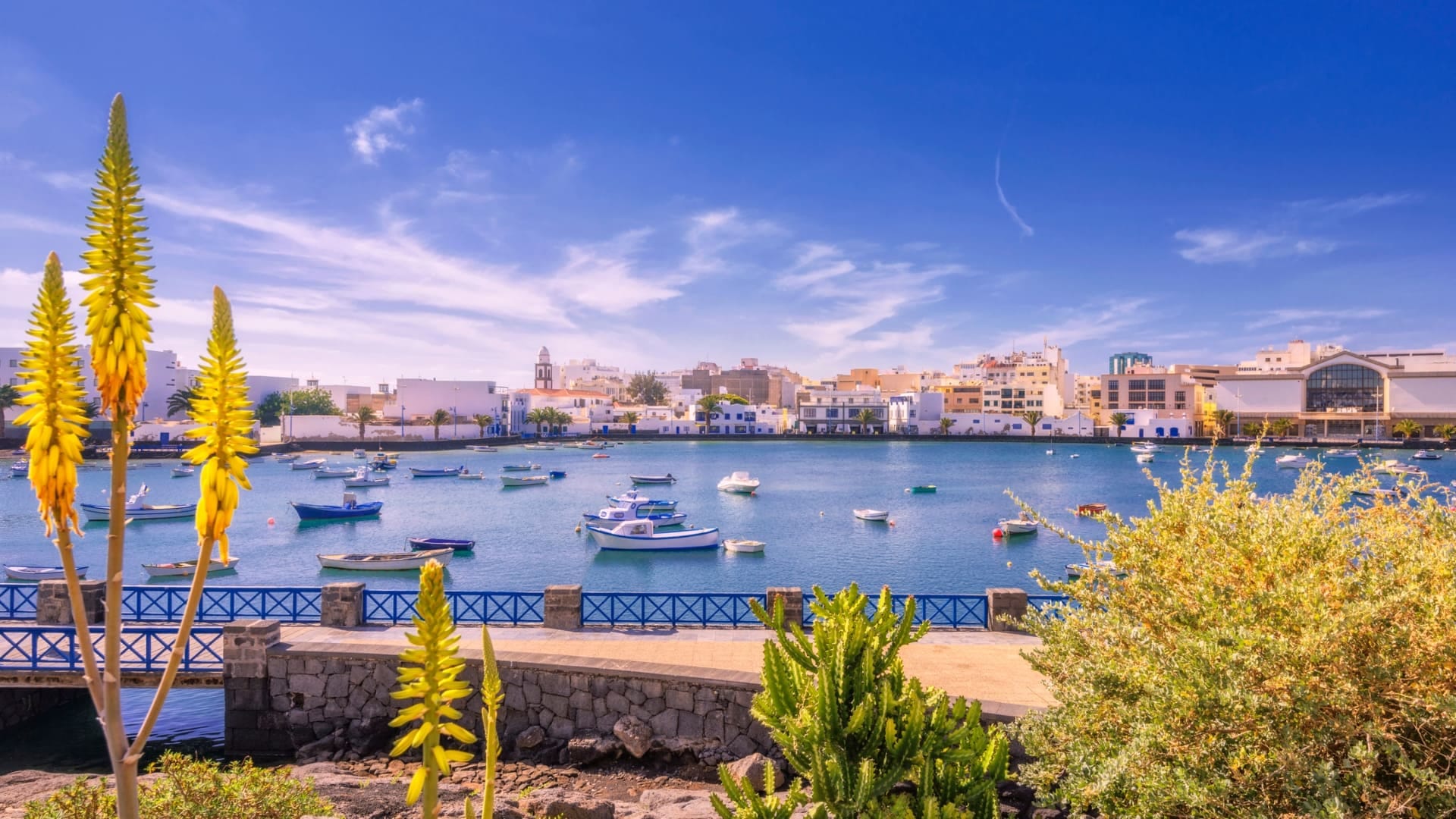Five Places Around The World Where It Is Illegal To Die death is Banned in these countries
