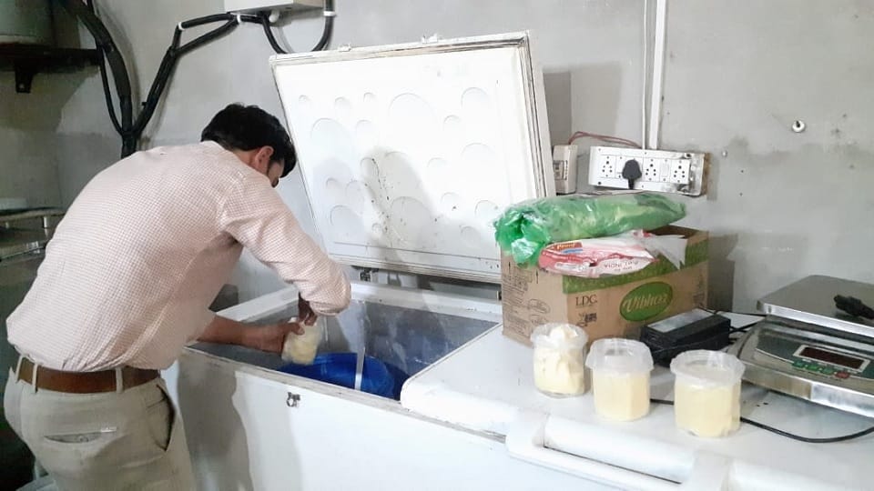 Milk, cream and ghee recovered in raid of CM Flying and Food Safety Department on Buttermilk in Fatehabad