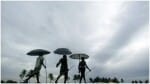 केरल पहुंचा मानसून।