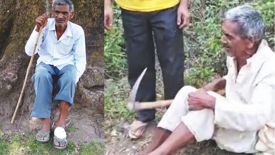 Uttarakhand Kotdwar News old man fought with two tigers after attacked on him and save His life