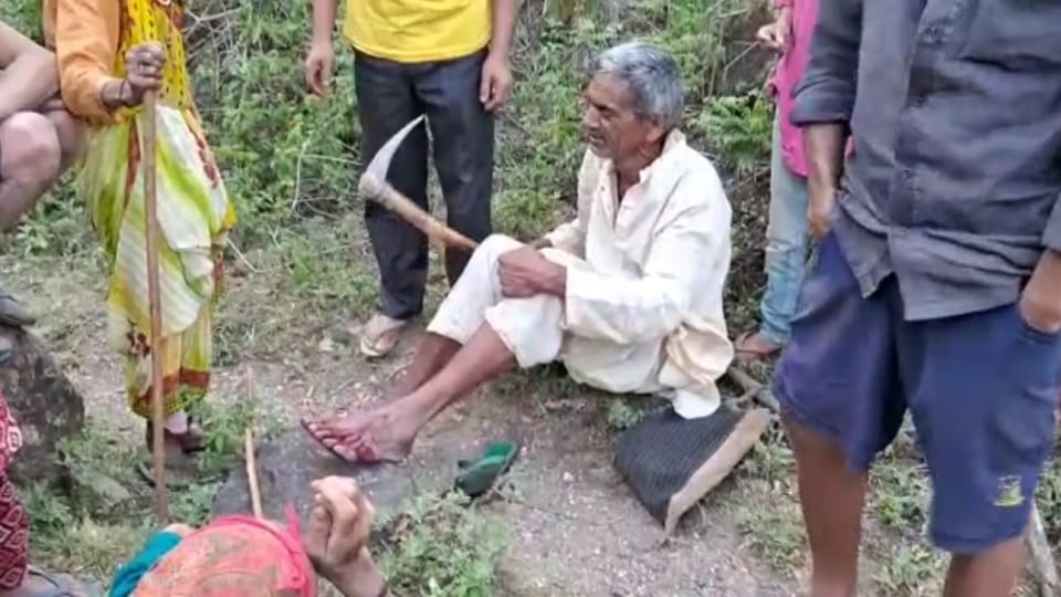 Uttarakhand Kotdwar News old man fought with two tigers after attacked on him and save His life