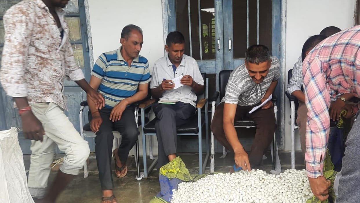 sericulture department himachal pradesh purchase cocoon price 1150 rupee per kilogram