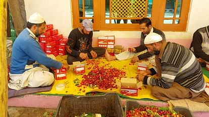 Cherry in Kashmir: Rain and hail hit cherry production affected farmers upset