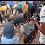 viral video