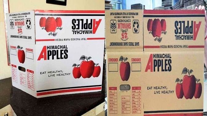 सेब के लिए बनेगा 20 किलो का छोटा कार्टन बॉक्स,बागवानों को कहा जा रहा है हम देंगे 5 -10 रूपये सस्ता