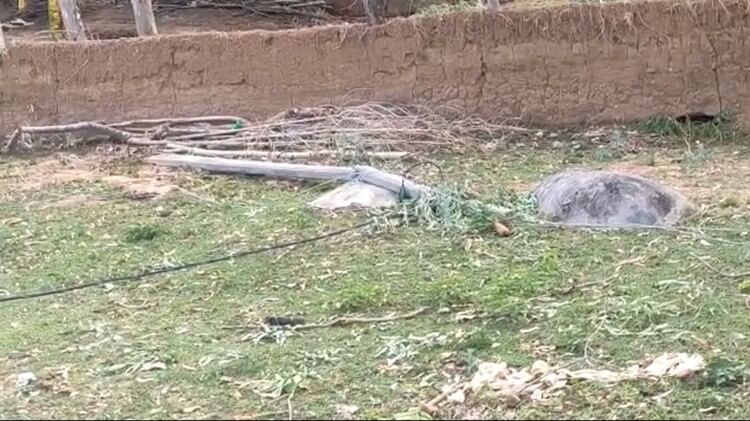 बारिश ने खोली बिजली पोल की 'पोल': विभाग ने दो साल पहले ही लगाए थे, 66 टूटकर गिरे; अफसर बोले- गुणवत्ता जांचेंग