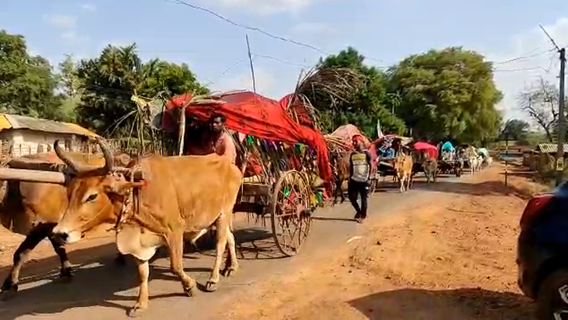 कांकेर में बैलगाड़ी पर निकली बरात।