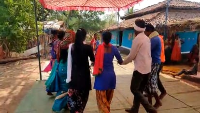 chhattisgarhi marriage; procession set out on 15 bullock carts singing auspicious songs in kanker
