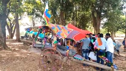 chhattisgarhi marriage; procession set out on 15 bullock carts singing auspicious songs in kanker