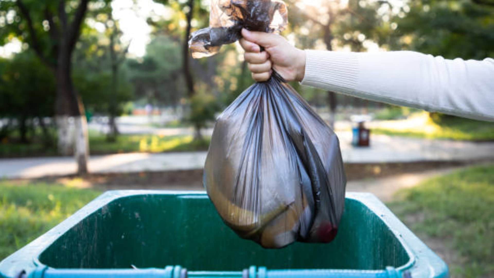 Picnic Tips Keep These Essential Things  In Travel Bag During Summer Vacation