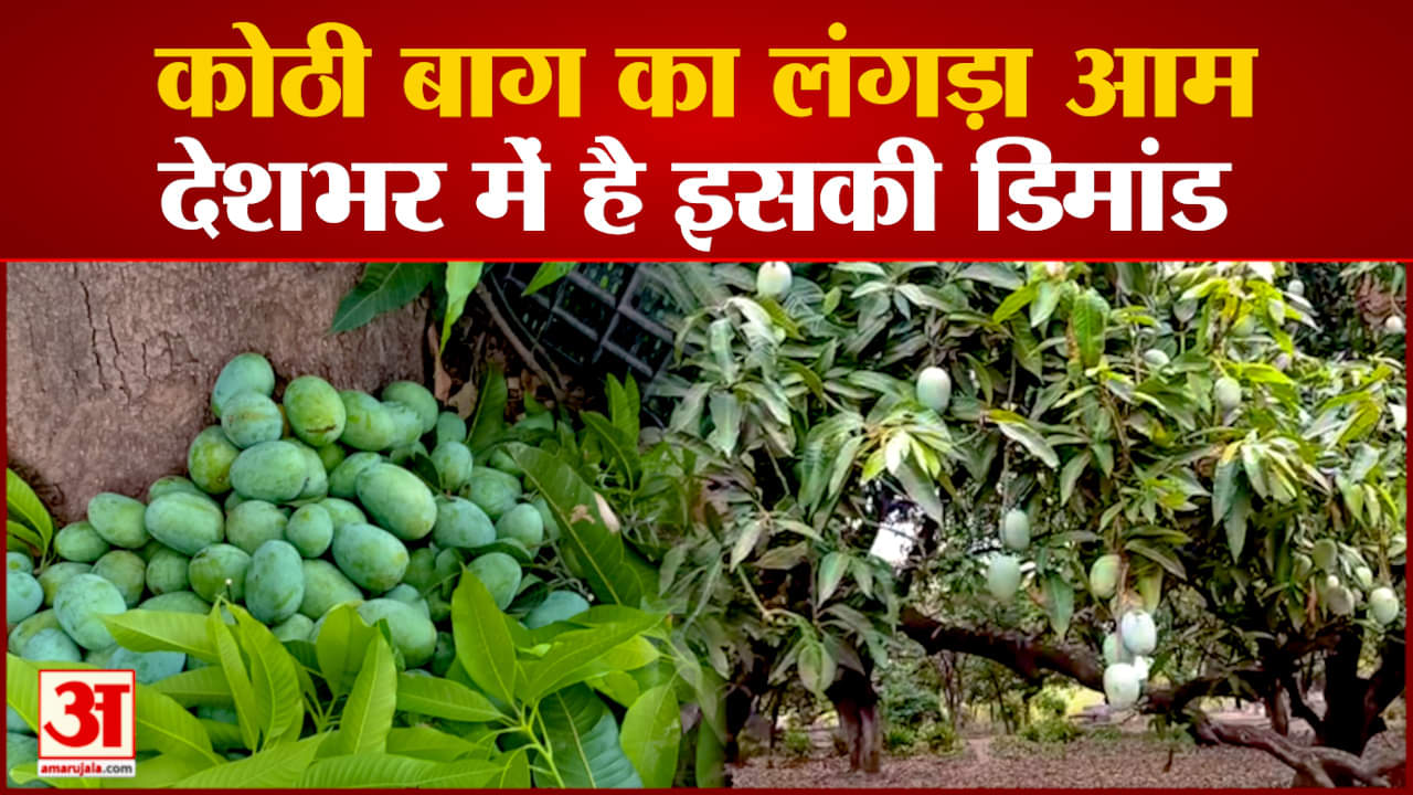 कोठी बाग के फेमस आम