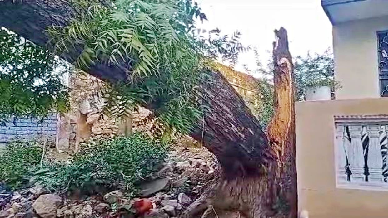 Severe cyclonic storm caused havoc in Jaipur