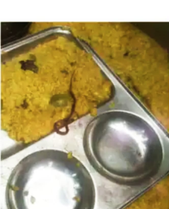 Bihar: Snake found in mid-day meal in this district of Bihar, it was the conspiracy of the cook