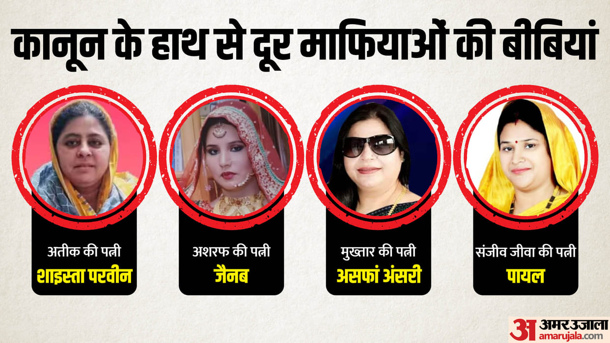 From Shaista, Asfan to Payal, wives of mafias away from up police custody and know about their cases