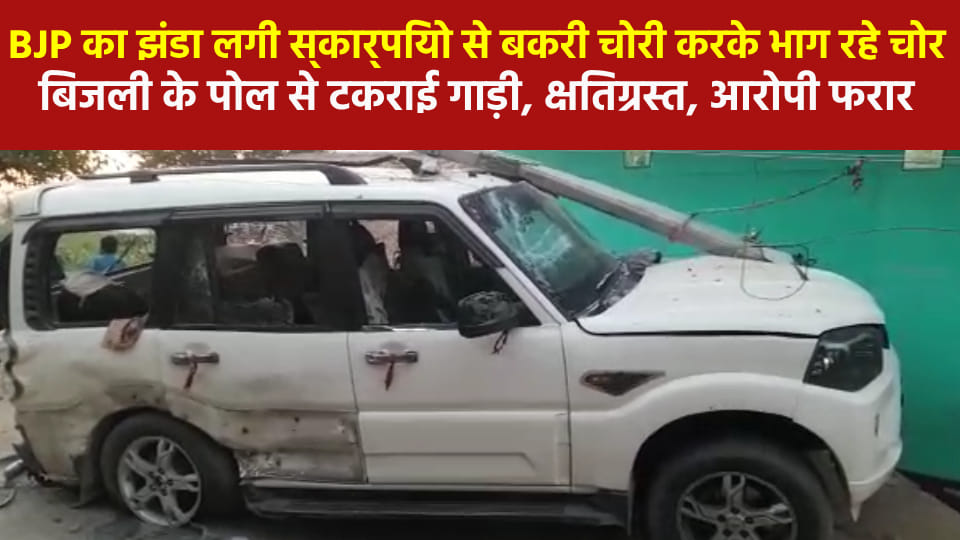 thieves stole goat from BJP flag hoisted Scorpio in Mainpuri vehicle got damaged after colliding with pole