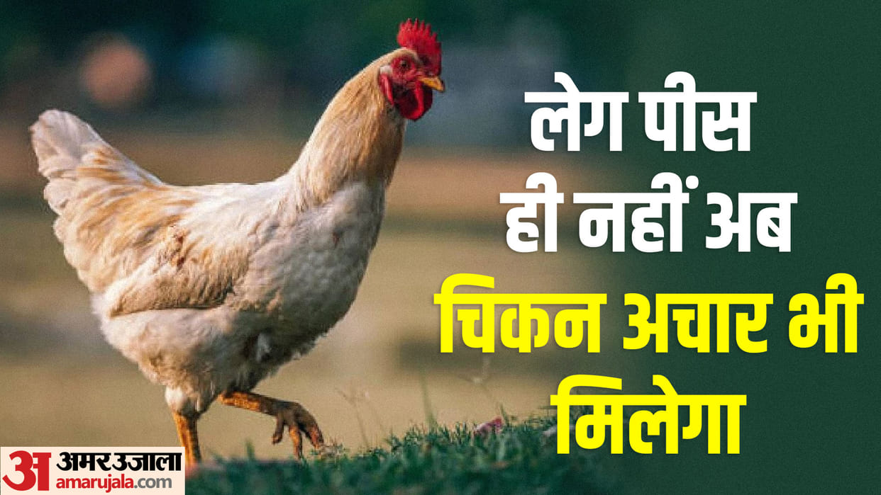 CARI scientists develop technology to make chicken pickles