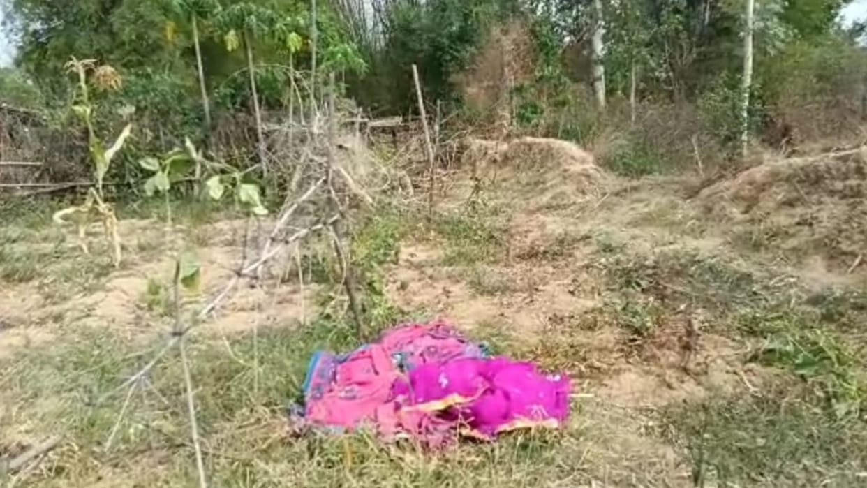 elephant attack in chhattisgarh; Elephants killed woman in Surajpur