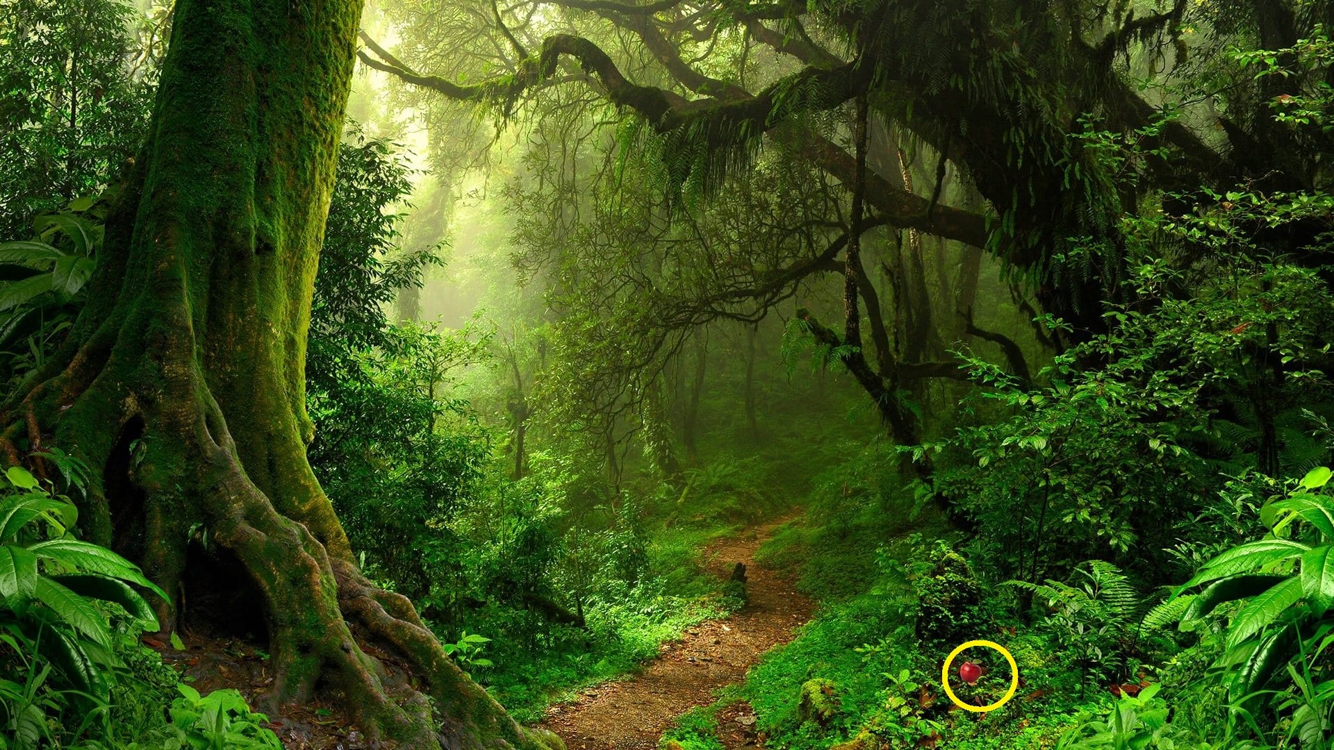 Optical Illusion: can you spot apple in this pictures check your brain iq
