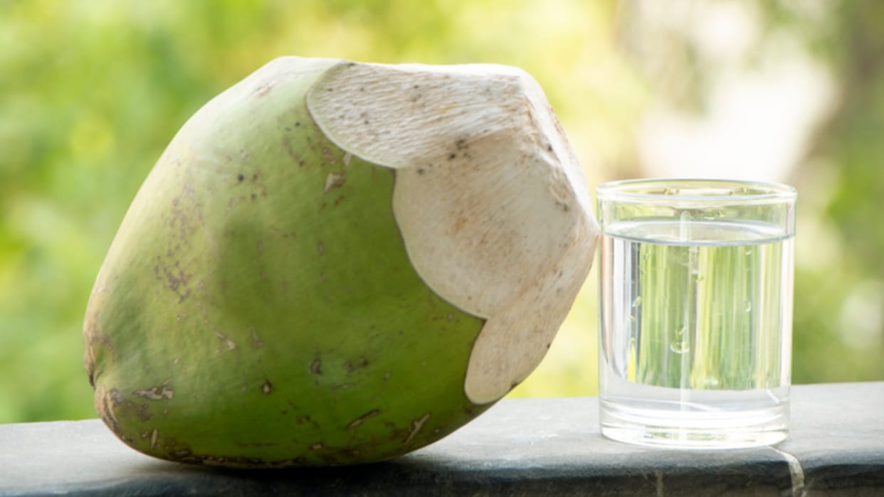 where does coconut water come from know in hindi jane nariyal me pani kaise aata hai