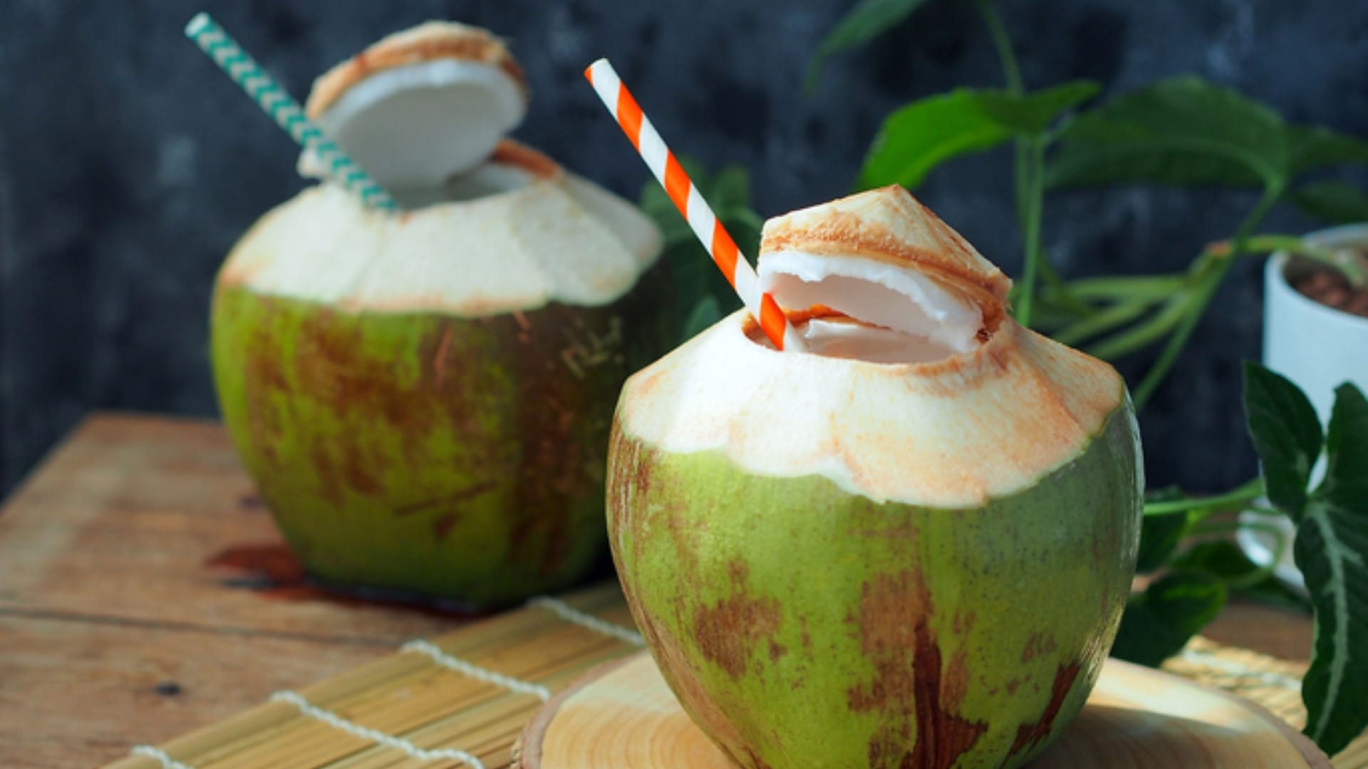 where does coconut water come from know in hindi jane nariyal me pani kaise aata hai