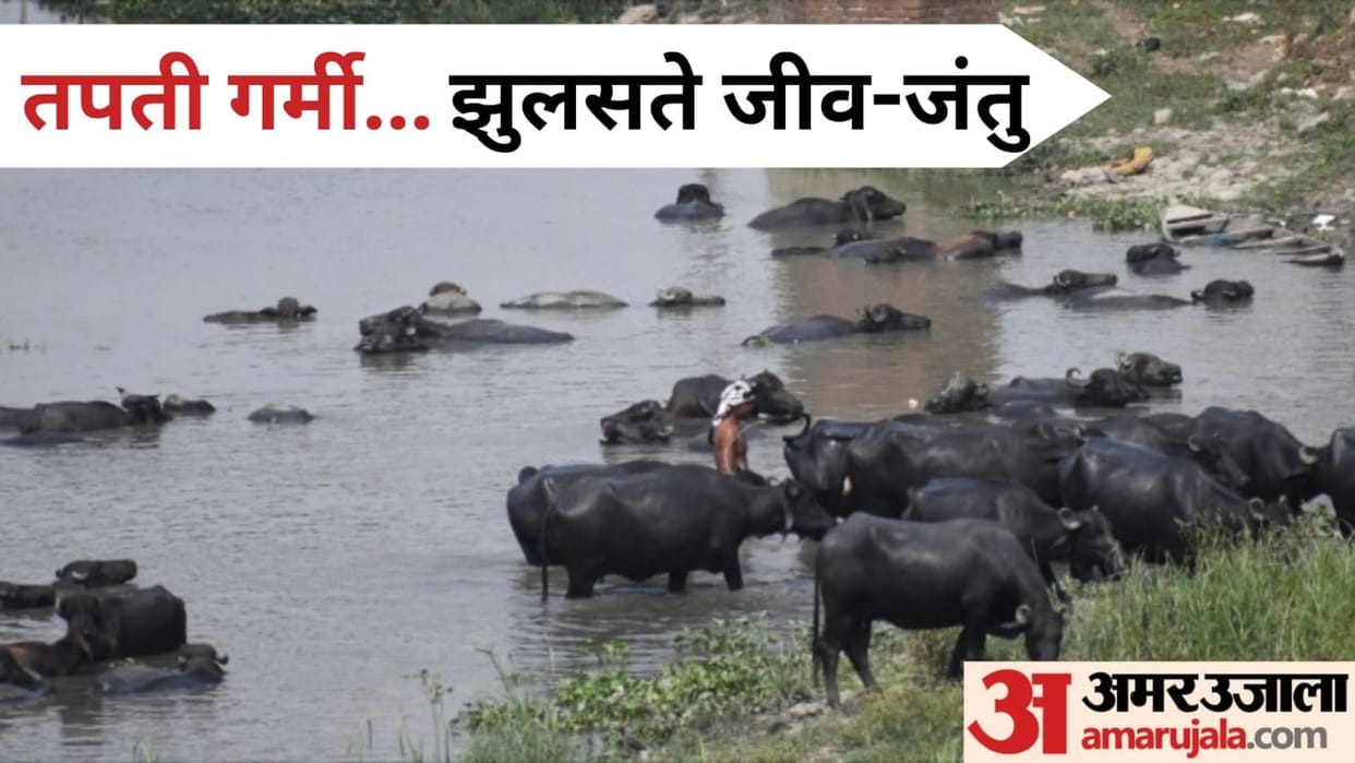 Wear cotton clothes cover body and drink plenty of water due to heat wave