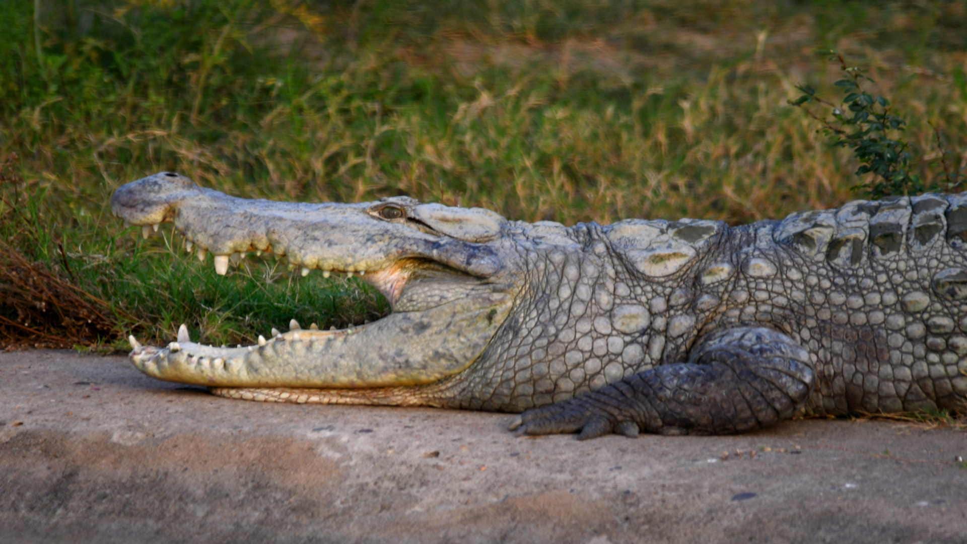 Wear cotton clothes cover body and drink plenty of water due to heat wave