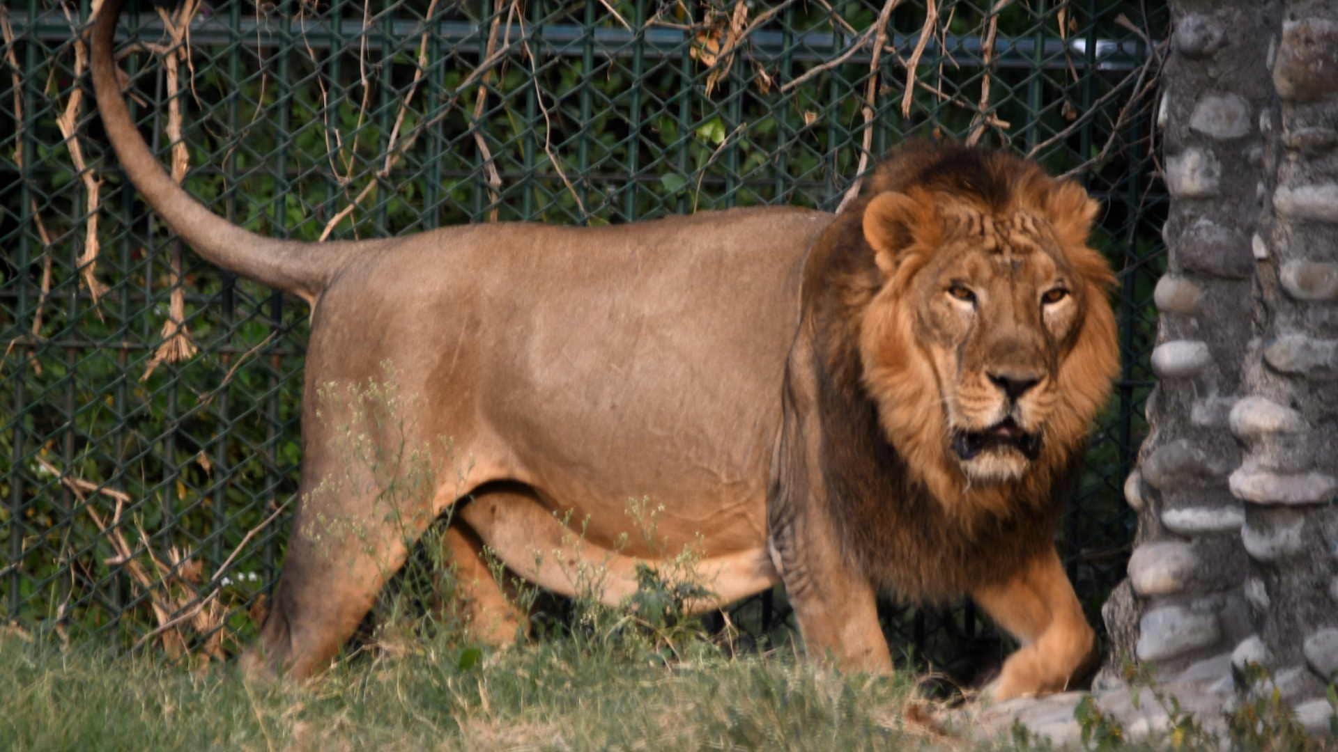 Wear cotton clothes cover body and drink plenty of water due to heat wave