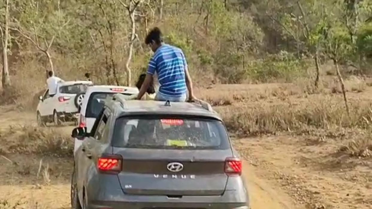 Tourists roaming in private vehicles without permission in Bandhavgarh Tiger Reserve area