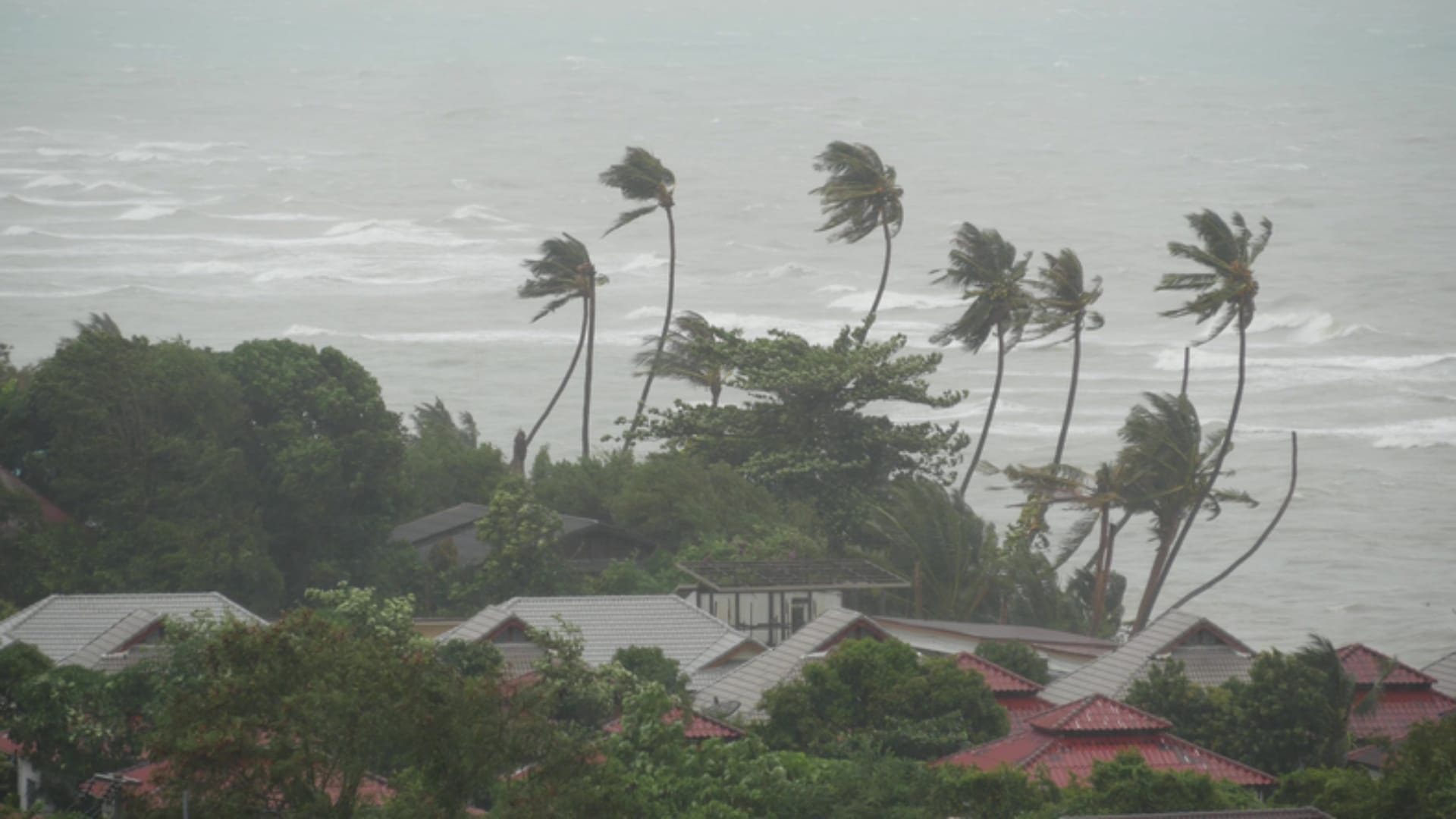 cyclone biparjoy news and updates five countries most frequently hit by natural disasters and cyclones