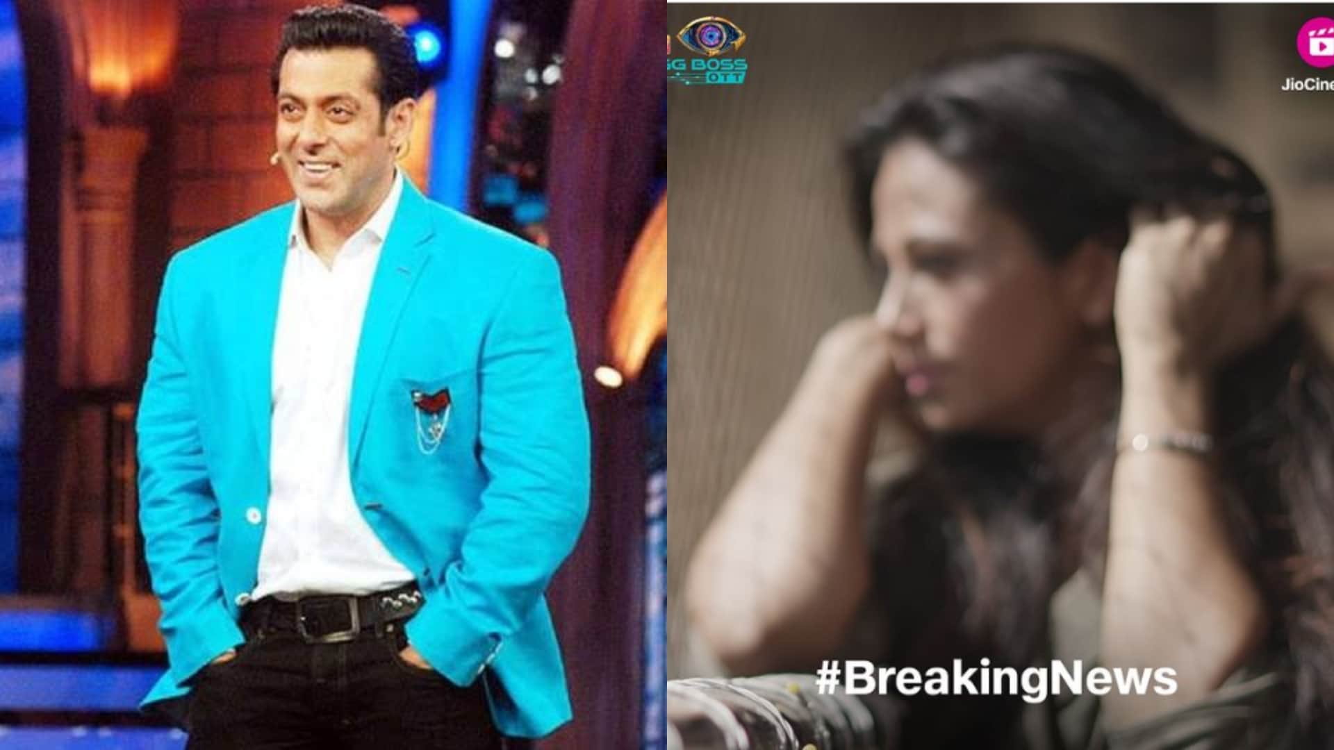 Filmy Wrap Fukrey 3 Asur 3 Kangana Ranaut Bawaal Bigg Boss Ott 2 Aaliya Siddiqui read entertainmnet news