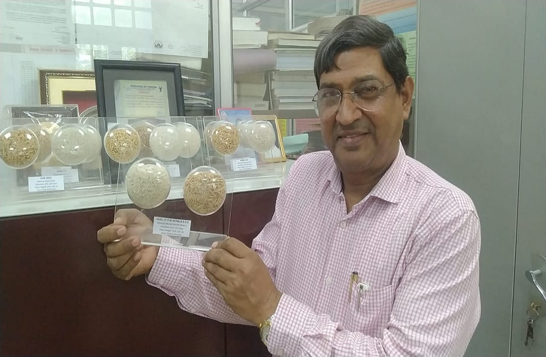 Pakistan asked BHU for seeds of advanced variety of paddy refusal to give