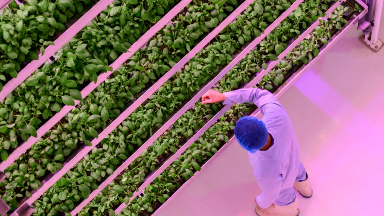 Horticulture will now be done in Uttarakhand with Israel agricultural technology