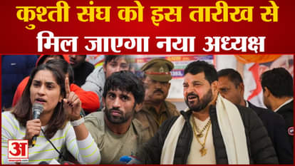 WFI Elections 2023: Brij Bhushan Sharan Singh's family member will contest the election?