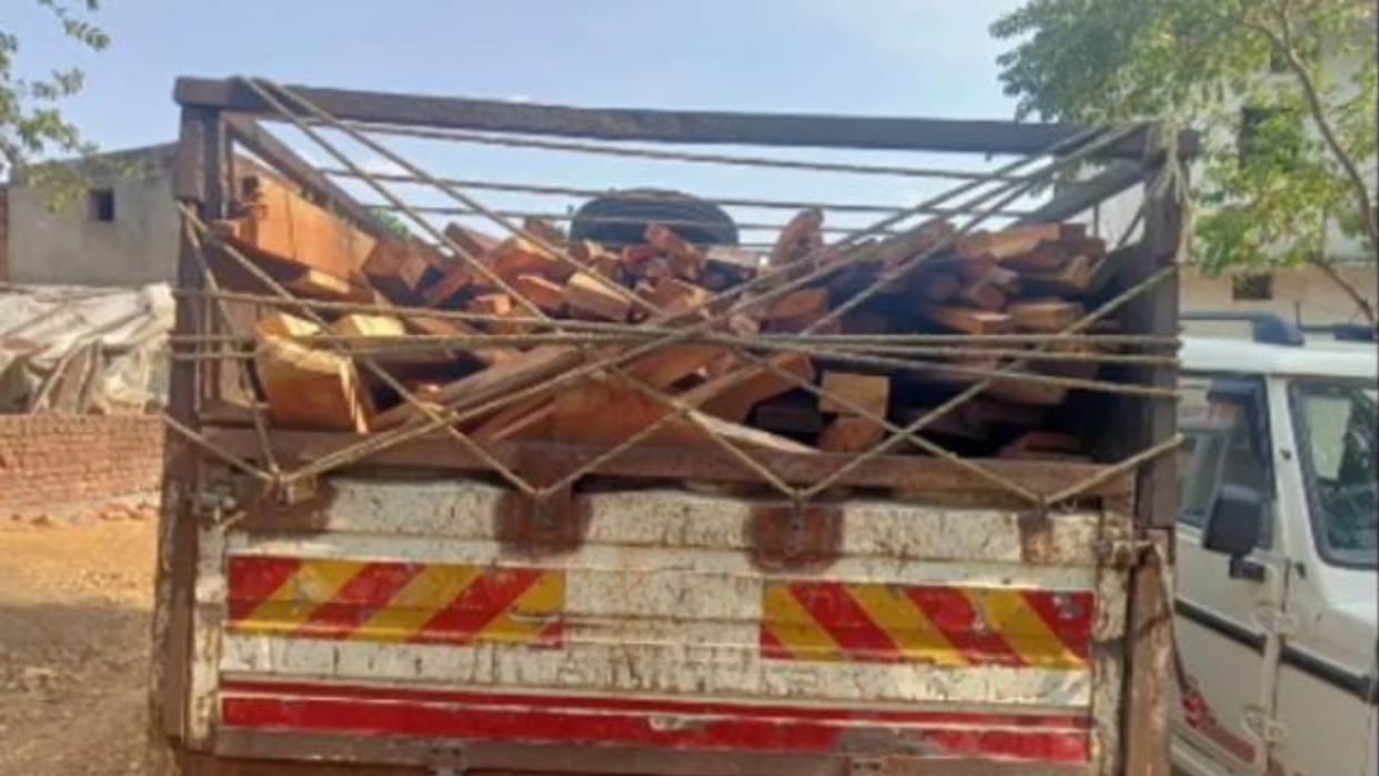 two arrested with saw machine and illegal chiran wood at home in Korba