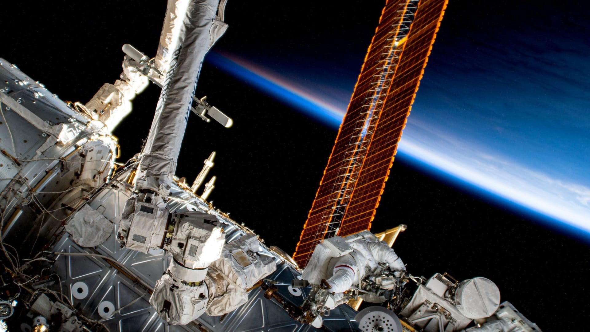 nasa shares stunning pic of flower grown in space people reacts on internet asked how did it happen