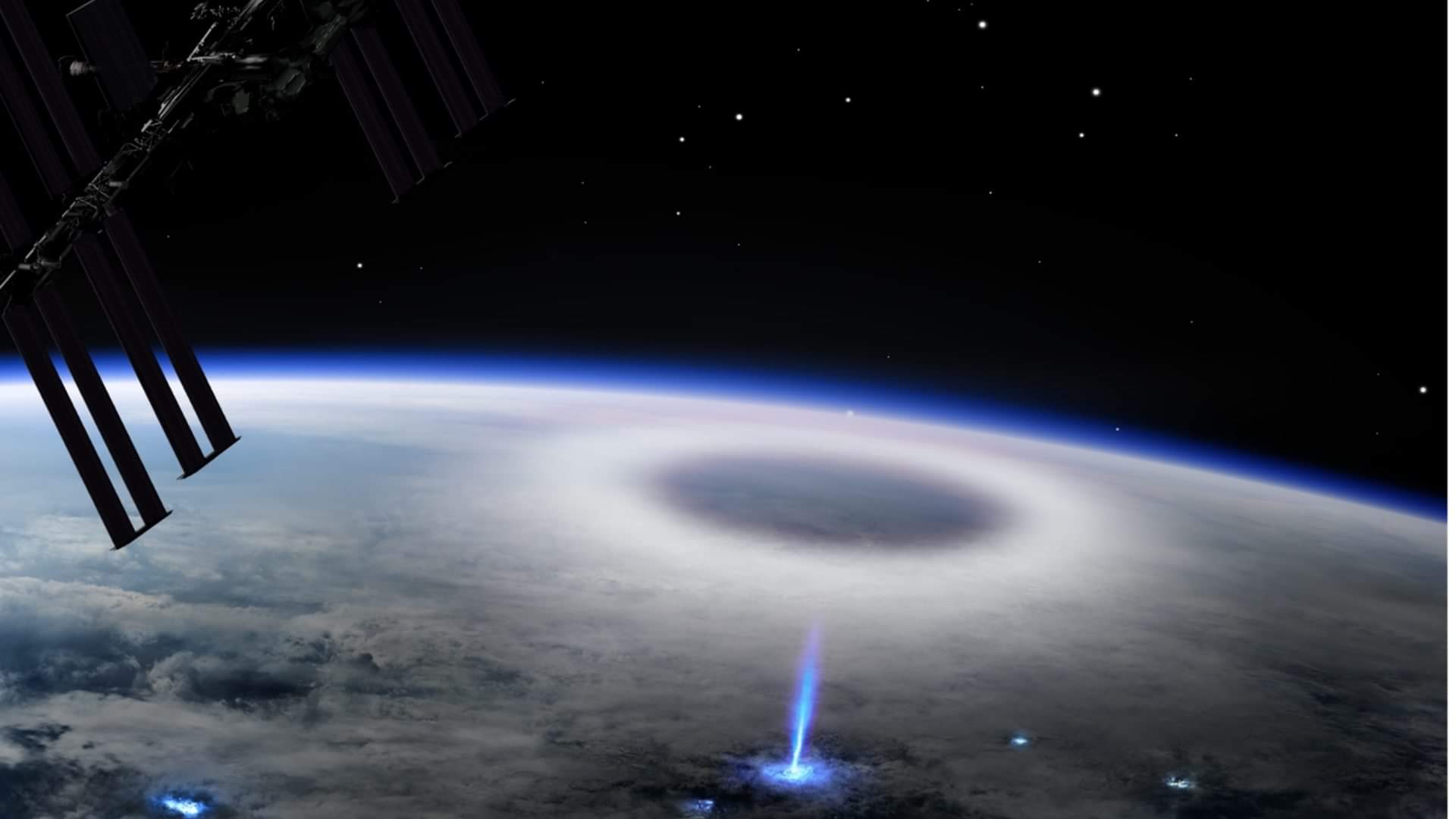 nasa shares stunning pic of flower grown in space people reacts on internet asked how did it happen