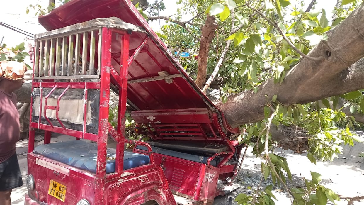 many Years old banyan tree fell on e rickshaw in jaunpur