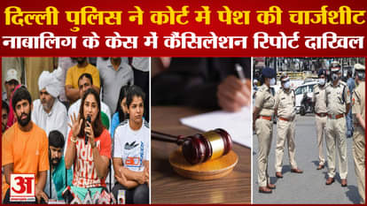 Wrestler Protest: Delhi Police Present Charge Sheet In Court