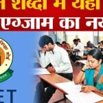 सीटेट एग्जाम पैटर्न