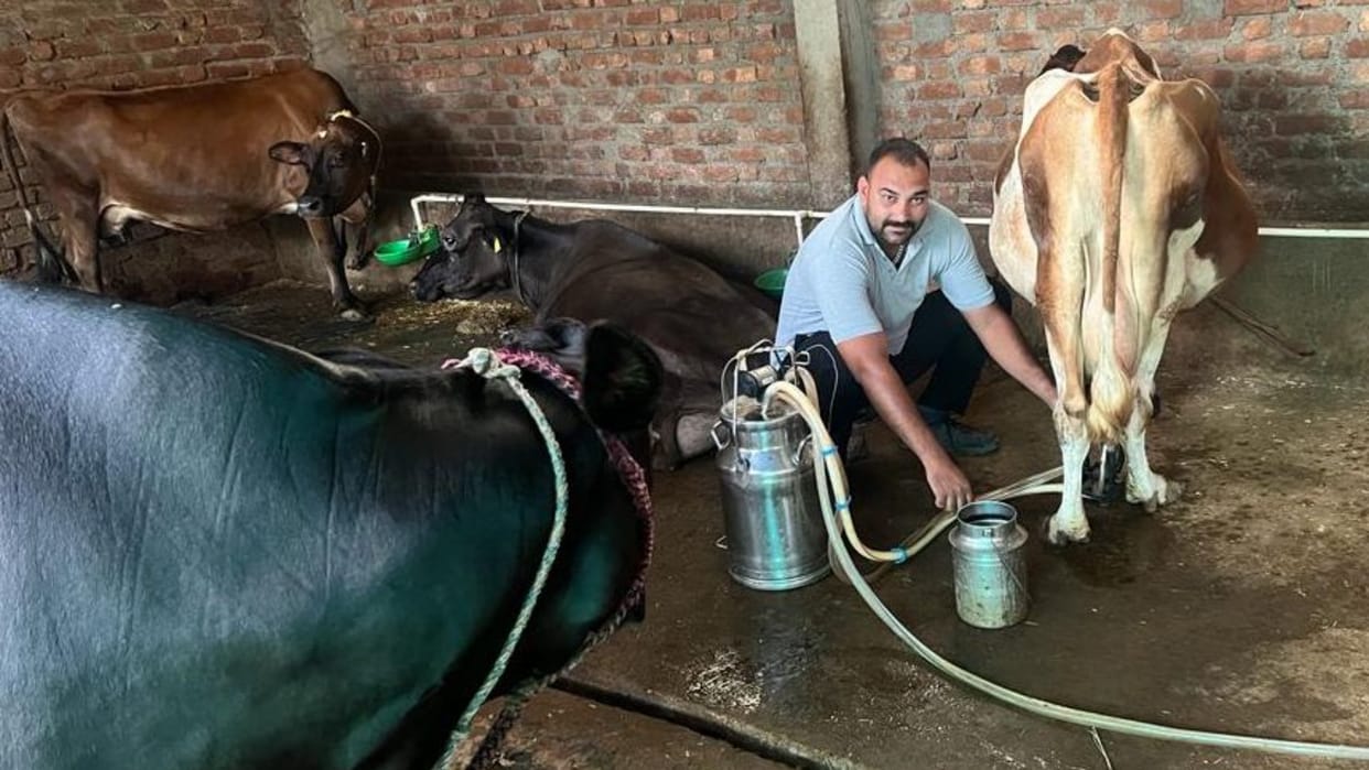 Amit earning 2.5 lakh per month by Dairy farming business in joginder nagar