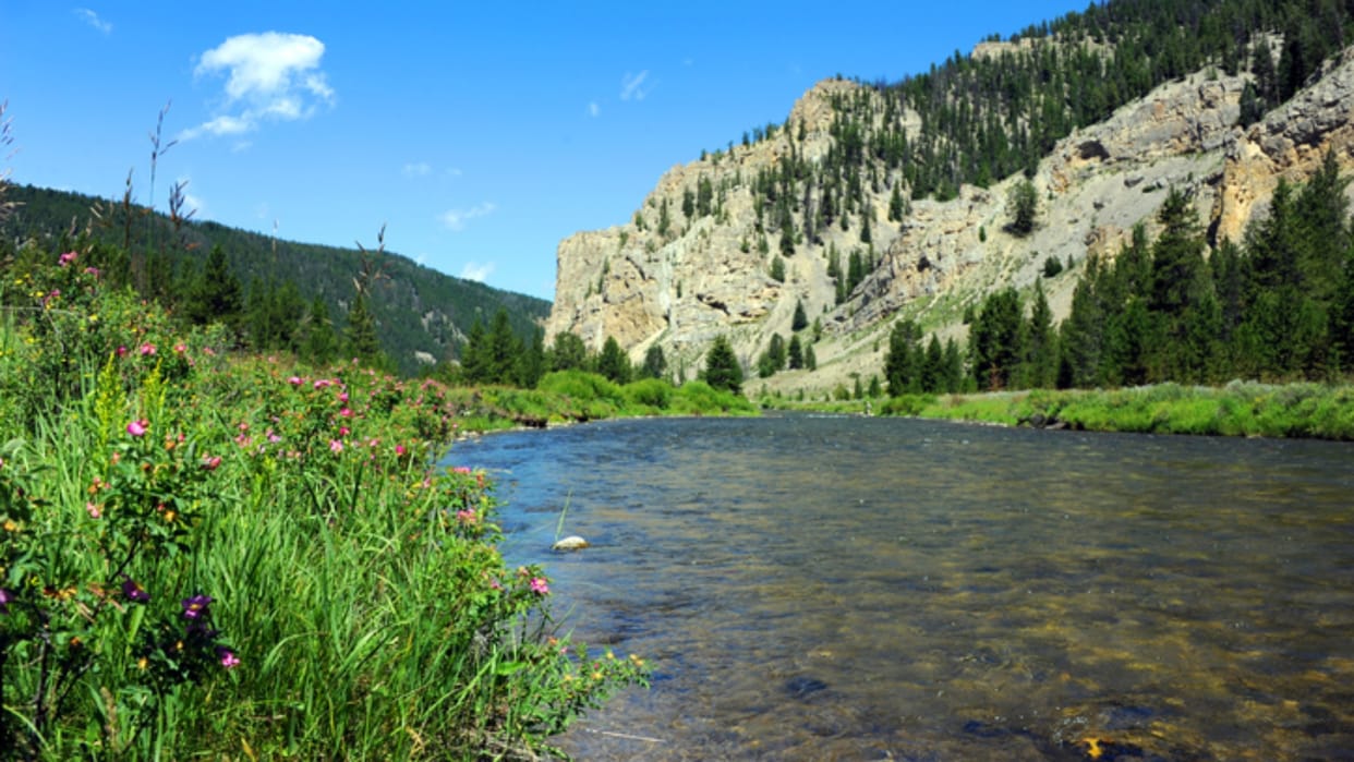 Worlds shortest river know interesting facts about roe river montana usa