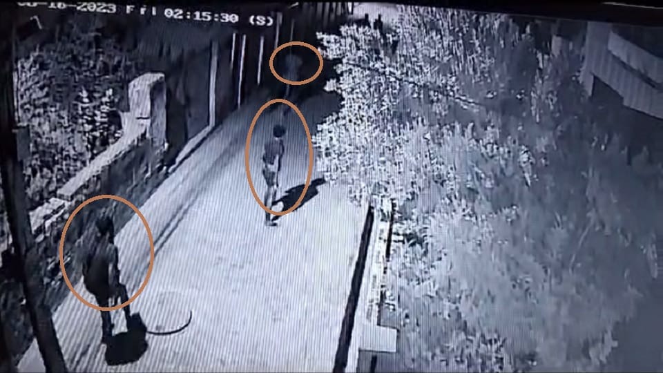 Kachdhari gang active in Rangrao Colony of Mahendragarh, theft in four houses in single night