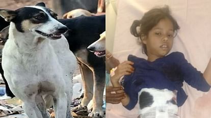 Another girl was attacked by dogs and dragged for 20 meters in bareilly